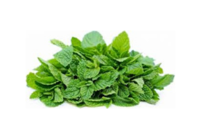 Mint - पुदीना - ફુદીનો