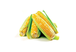 Corn - भुट्टा - મકાઈ