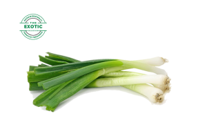 Leek - Exotic